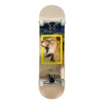 LANDYACHTZ LEONE
