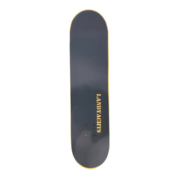 LANDYACHTZ LEONE - تصویر 2