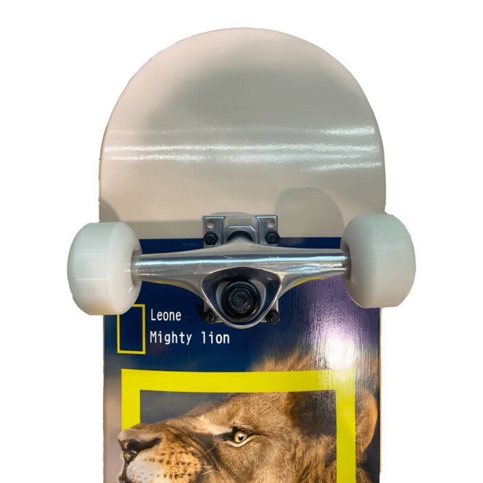 LANDYACHTZ LEONE - تصویر 3